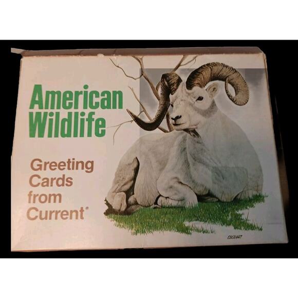 1980 American Wildlife Greeting 8 Cards From Current Vintage w Envelopes & Box - Picture 7 of 16